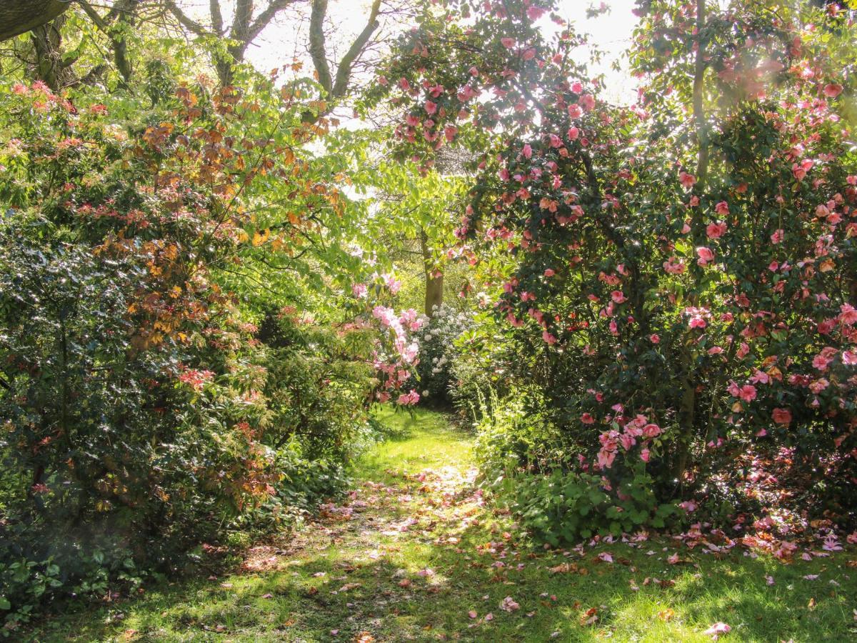 The Garden * Bridgnorth
